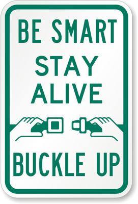 Be smart stay alive buckle up sign