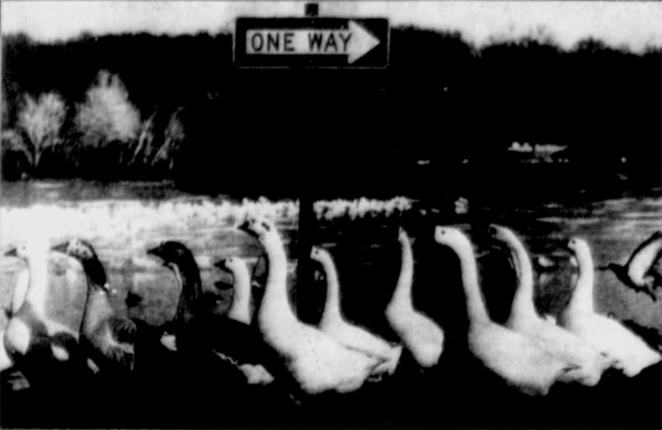 one way sign 1992