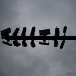 Road use fee linked to creepy vehicle tracking program